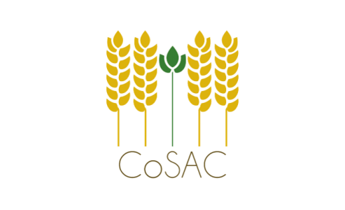 logo_cosac.png